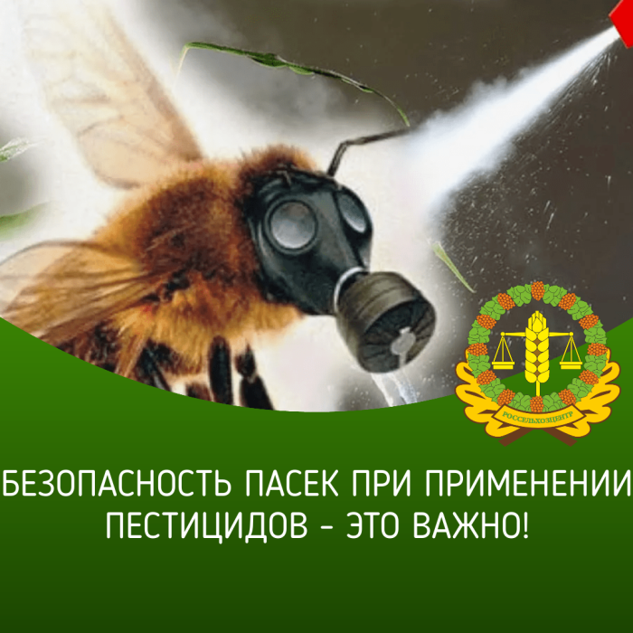 Об обеспечении безопасности пасек при применении пестицидов