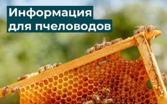 Об обеспечении безопасности пасек при применении пестицидов