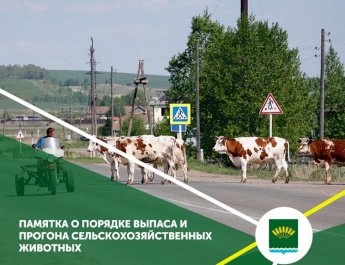Памятка о порядке выпаса и прогона сельскохозяйственных животных