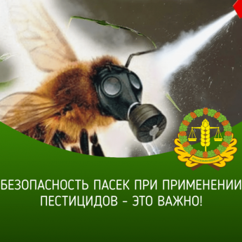 Об обеспечении безопасности пасек при применении пестицидов