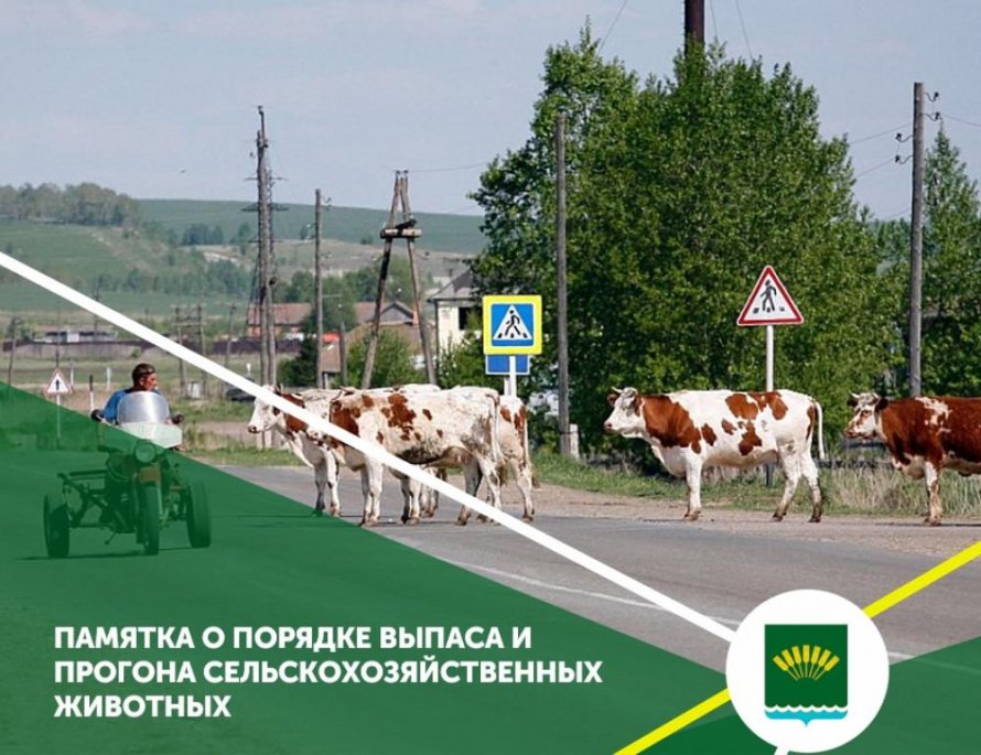 Памятка о порядке выпаса и прогона сельскохозяйственных животных